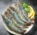 Frozen Wild Caught Sea Prawns