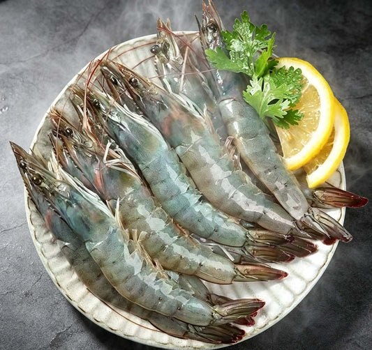 Frozen Wild Caught Sea Prawns