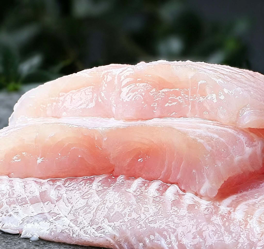 Frozen Boneless Pangasius Fish Fillets