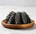 Dried Spiny Sea Cucumber
