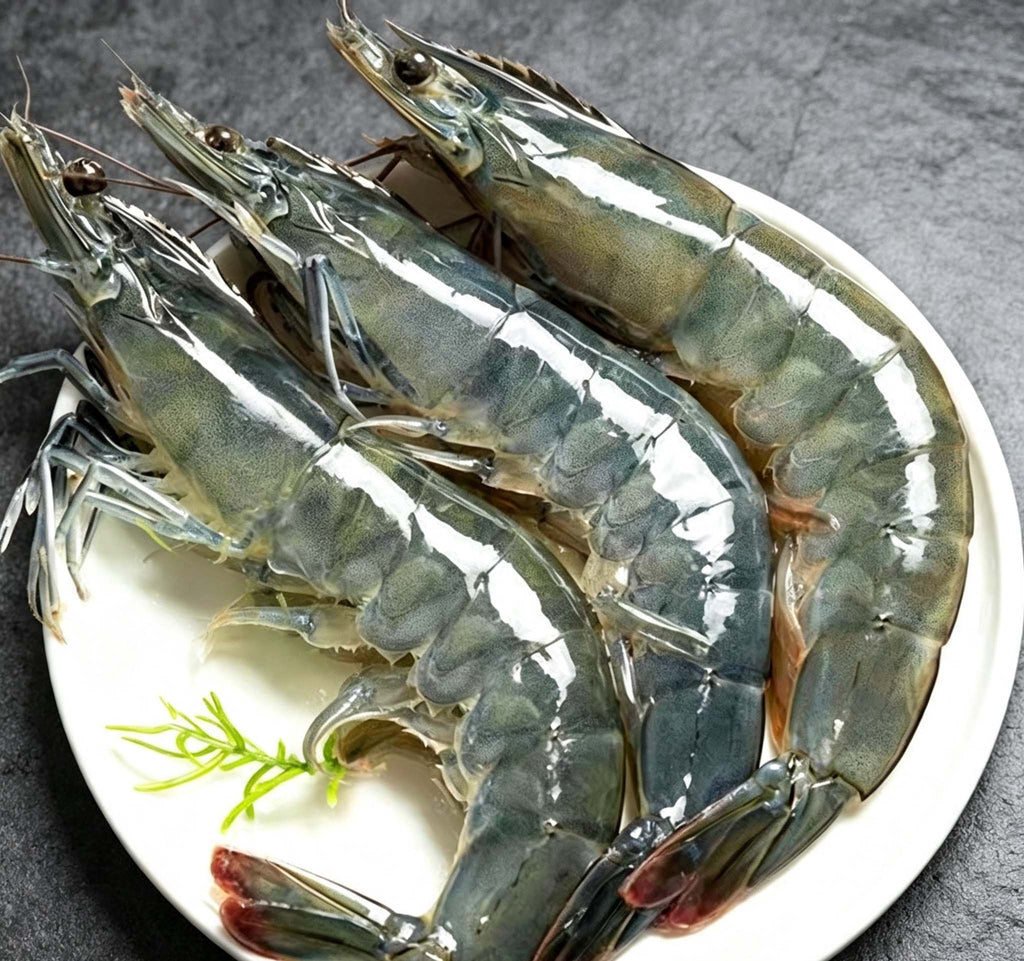 Frozen Wild Caught Sea Prawns